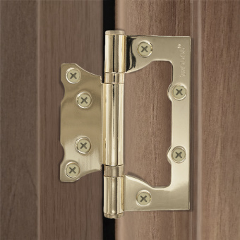 Петля накладная Trodos 100х75х2,0 GP без врезки, золото