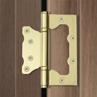 Петля накладная Trodos 100х75х2,0 SB без врезки, золото матовый