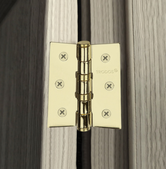 Петля накладная Trodos 75х62х2,5 GP золото