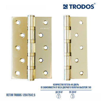 Петля накладная Trodos 125х75х2,5 GP золото