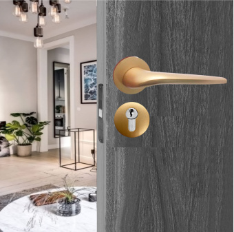 Накладка на цилиндр Vrata "ЕТ AL" серия 06 slim, сатиновое золото матовый