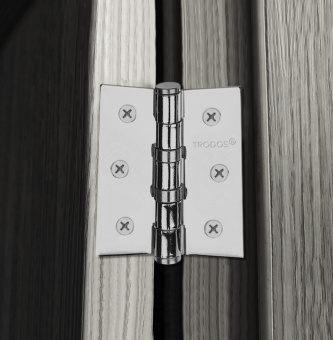 Петля накладная Trodos 75х62х2,5 CP хром 