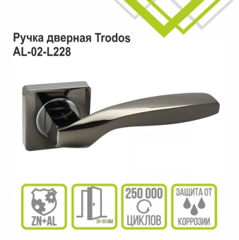 Ручка раздельная Trodos "228" серия 02, черный никель