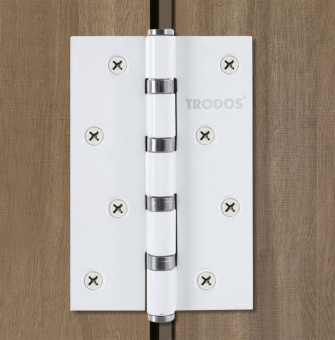 Петля накладная Trodos 100х70х2,5 WW белый 