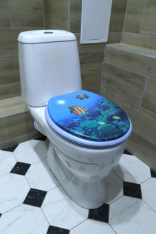 Сиденье для унитаза Delphinium "Подводная одиссея", голубой