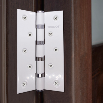Петля накладная Trodos 125х75х2,5 WW белый 
